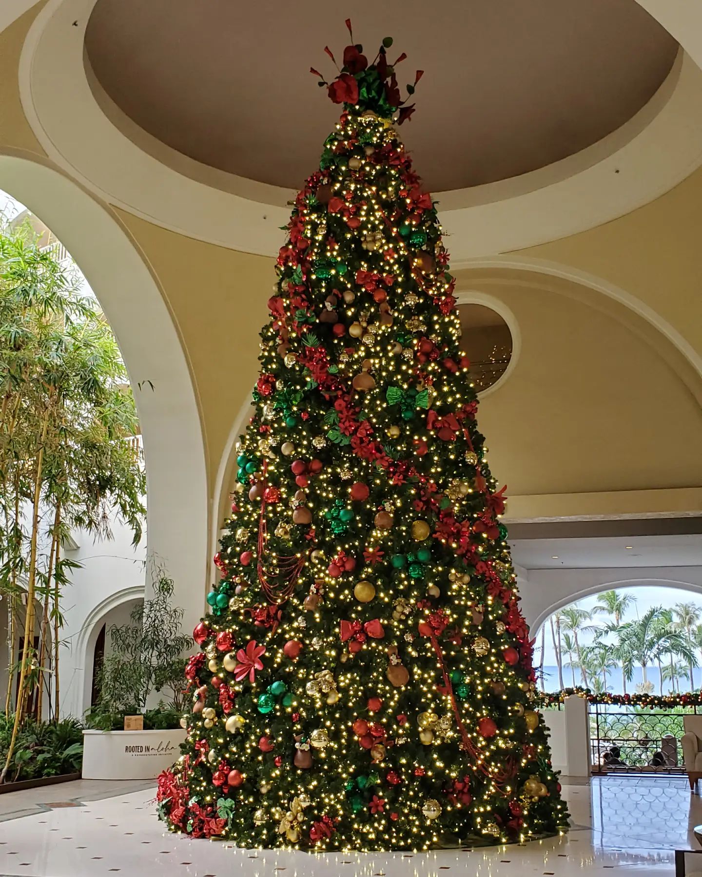 The most beautiful Christmas tree in the world is at the Kea Lani in Wailea 🎄🎅
🌴
🌺
🌅
⛳
Jill McGowan ~ Maui Realtor
808.658.0575
Jill@LuxuryHomesMaui.com
🌈
🌊
😎
#MerryChristmas #MeleKalikimaka #christmastree #Wailea #Kihei #Hawaii #Makena #Maalaea #Maluaka #Maui  #Lahaina  #Kapalua  #mauilifestyle  #luxuryhomesMaui #mauicondos #mauihomes #resortlife #luxuryresortsmaui