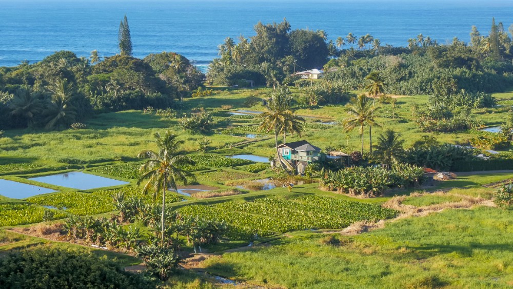 Keanae
