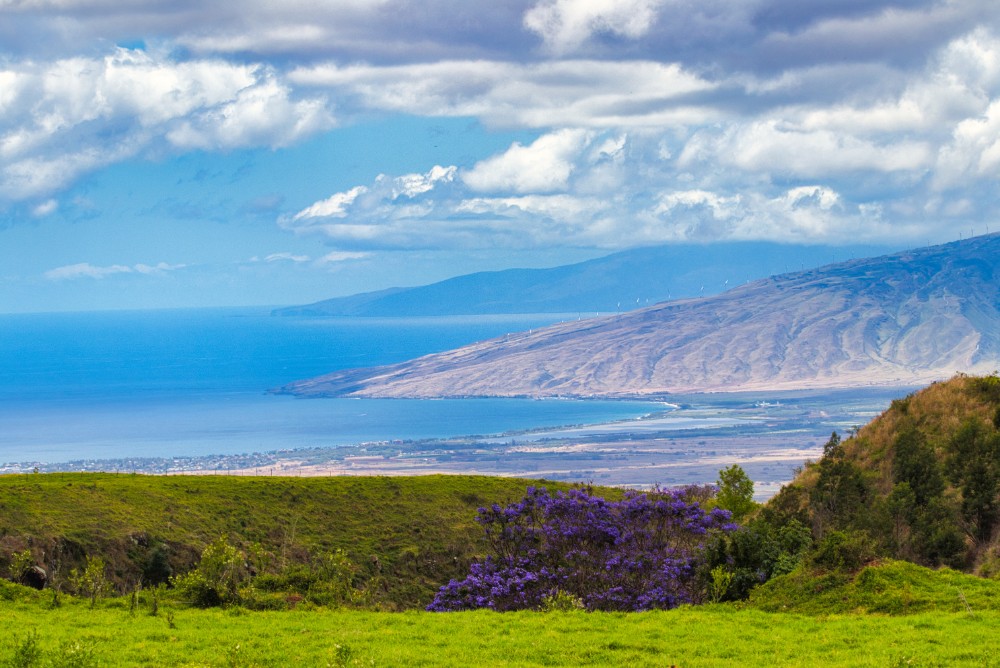 Kula/ Ulupalakua/<br>Kanaio