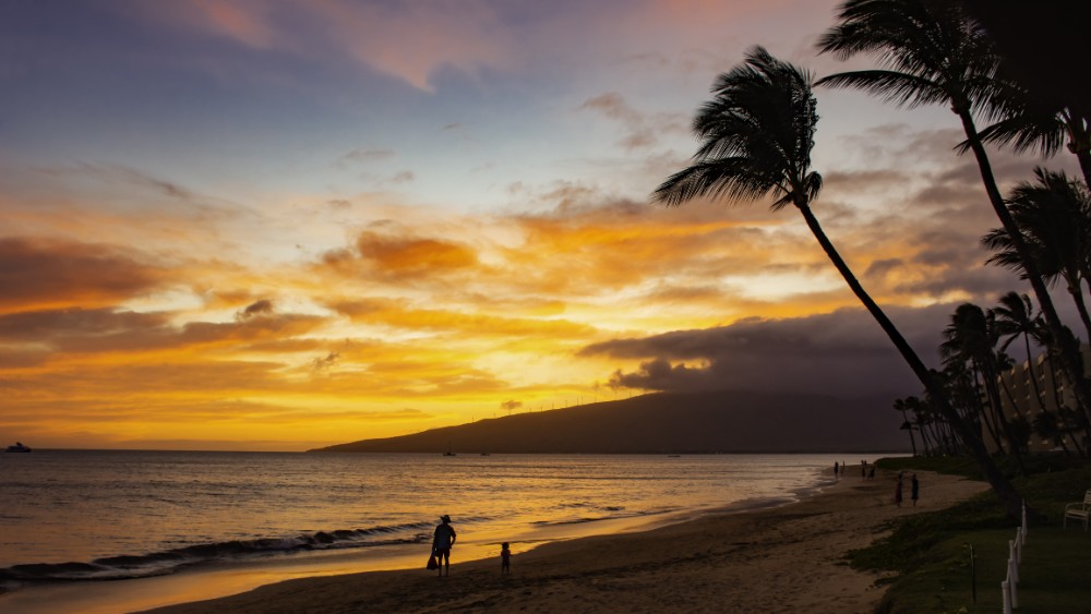 Maui Meadows