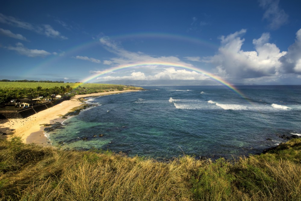 North Shore